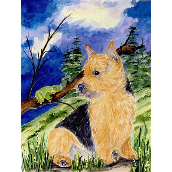 Carolines Treasures 28 x 40 In. Norwich Terrier Flag Canvas- House Size - SS8984CHF