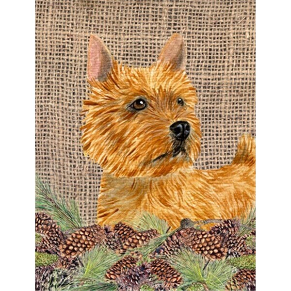 Carolines Treasures 28 x 40 In. Norwich Terrier Flag Canvas- House Size - SS4088CHF