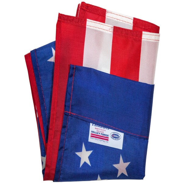 Valley Forge Valley Forge American Flag Set 30 in. H X 4 ft. W - 9900ACE