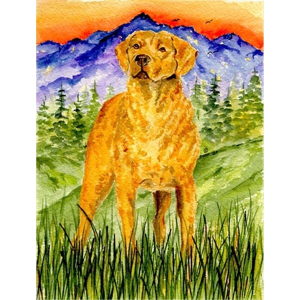 Carolines Treasures Chesapeake Bay Retriever Flag - Garden Size- 11 x 15 in. - SS8449GF