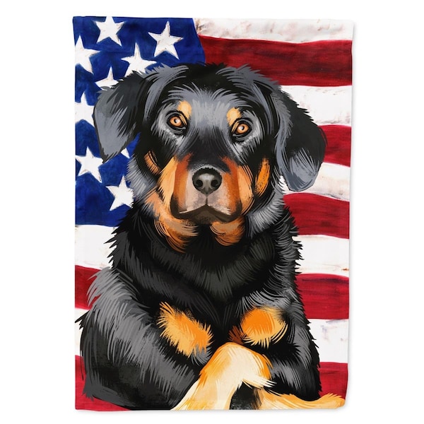 Carolines Treasures Beauceron American Garden Flag - 11 x 0.01 x 15 in. - CK6424GF