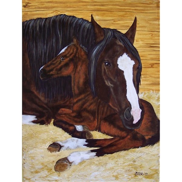 Patioplus Bay Mare Foal Horse Flag Canvas House Size - PA888736