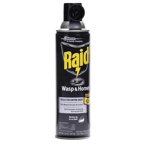 Sc Johnson Professional Raid Wasp & Hornet Killer, 14 oz, Aerosol - 668006