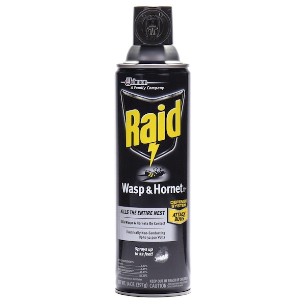 Sc Johnson Professional Raid Wasp & Hornet Killer, 14 oz, Aerosol - 668006