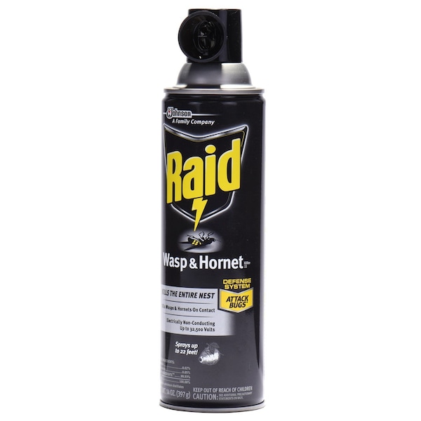 Sc Johnson Professional Raid Wasp & Hornet Killer, 14 oz, Aerosol - 668006