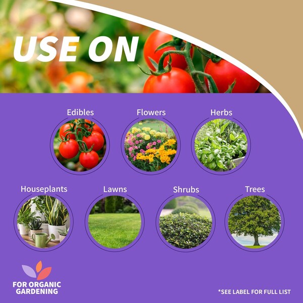 Bonide Products Bonide Captain Jack Fungicide/Insecticide/Miticide/Nematicide Liquid 1 gal - 2008