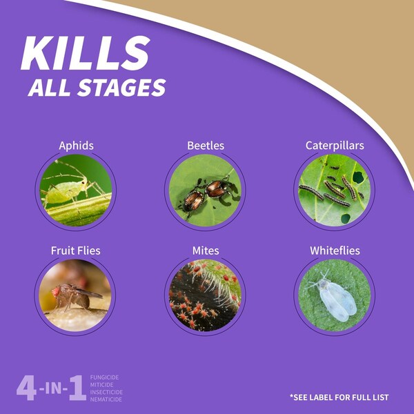 Bonide Products Bonide Captain Jack Fungicide/Insecticide/Miticide/Nematicide Liquid 1 gal - 2008