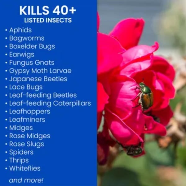 Bayer BioAdvanced Dual Action Rose and Flower Insect Killer Continuous Spray 15.7 oz - 701330A