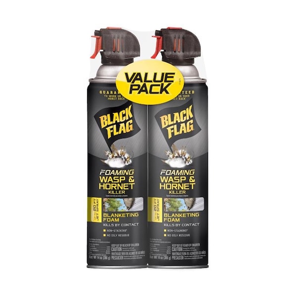 Black Flag Black Flag Wasp and Hornet Killer Foam 14 oz - HG-21089
