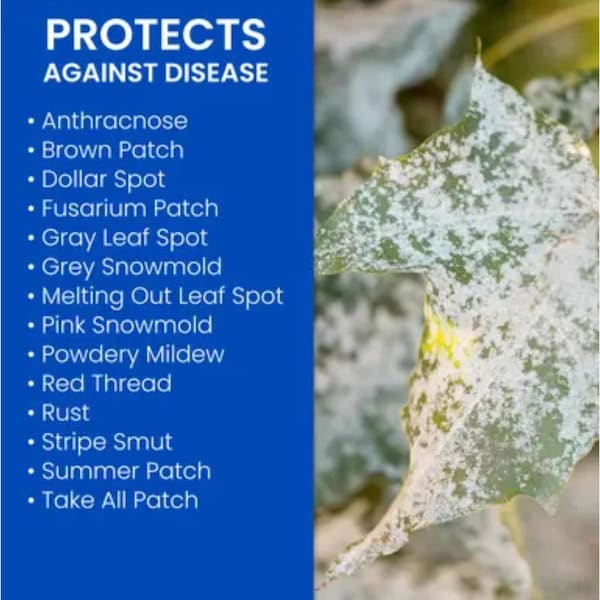 Bayer BioAdvanced Ready-to-Spray Liquid Fungus Control for Lawns 32 oz - 701270A