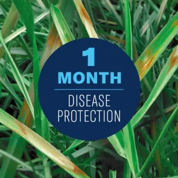 Bayer BioAdvanced Ready-to-Spray Liquid Fungus Control for Lawns 32 oz - 701270A
