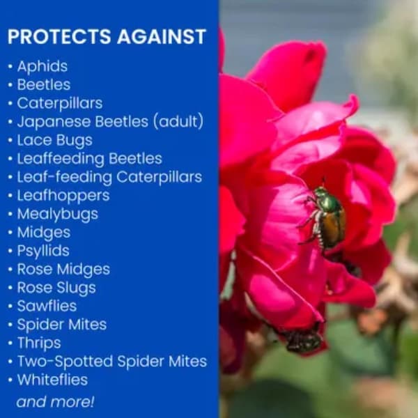 Bayer BioAdvanced 3-in-1 Ready-to-Use Insect Disease & Mite Control Spray 24 oz - 701290B