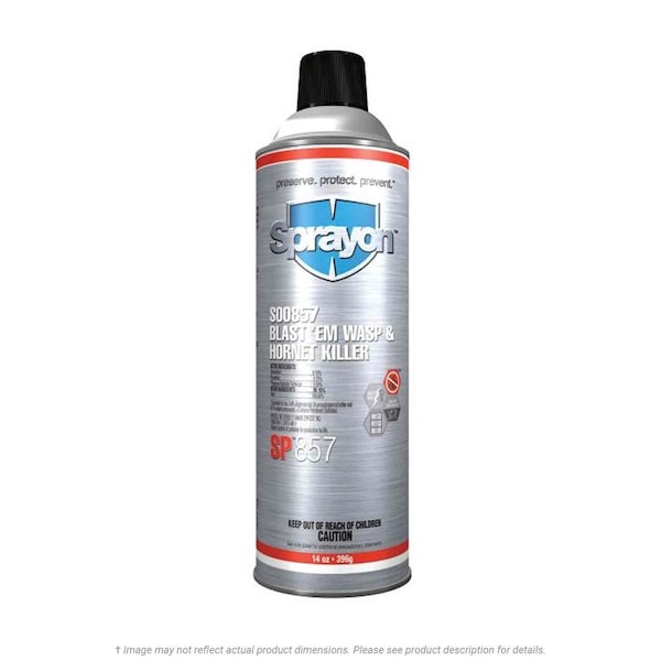 Krylon Sprayon Blast 'Em Wasp and Hornet Killer - S02085700
