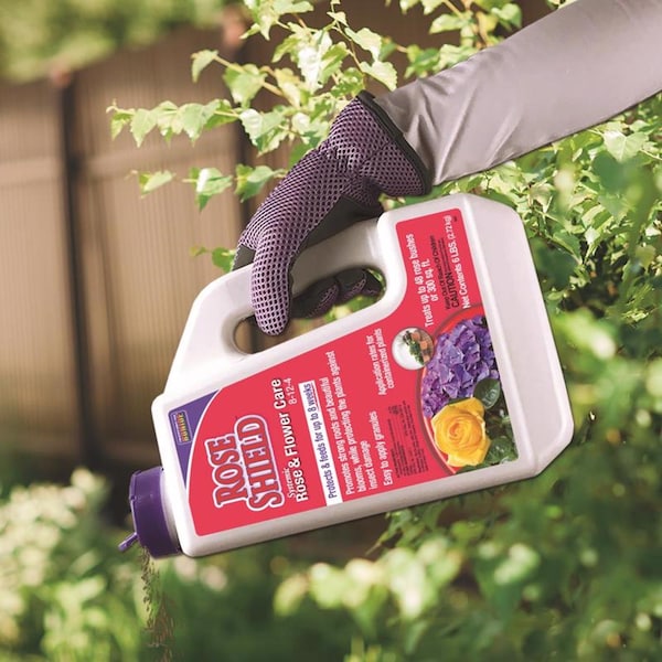 Bonide Products Bonide Rose Shield Systemic Insecticide Granules 6 lb - 946
