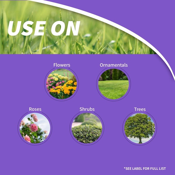 Bonide Products Bonide Rose Shield Systemic Insecticide Granules 6 lb - 946