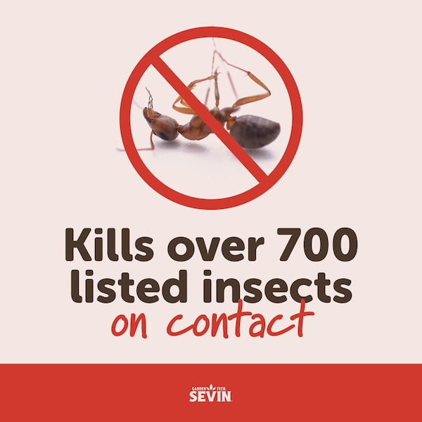 Sevin GardenTech Sevin Insect Killer Liquid 1 gal - 100545276