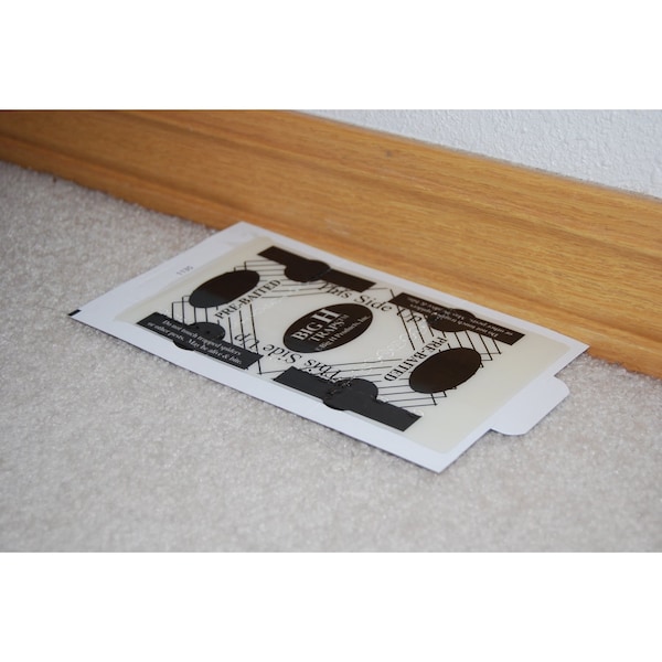 Big H Products Big H Products Spider Trap 3.2 oz - ACEBR15001