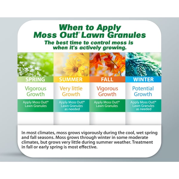 Amdro Lilly Miller Moss Out Moss Killer Granules 5 lb - 100099158