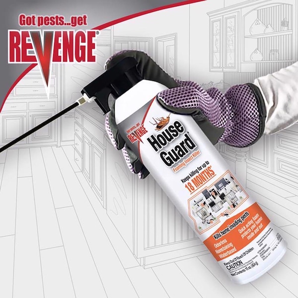 Bonide Products Bonide House Guard Ant and Roach Killer Foam 15 oz - 46640