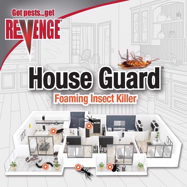 Bonide Products Bonide House Guard Ant and Roach Killer Foam 15 oz - 46640