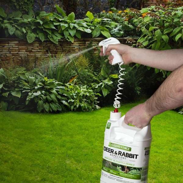 Liquid Fence Animal Repellent, 1 gal, Liquid, 12 in H - 70109