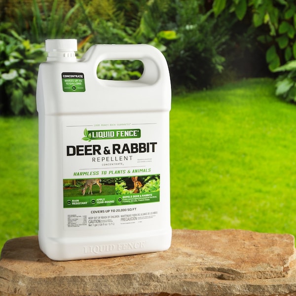 Liquid Fence Liquid Fence Animal Repellent Concentrate For Deer and Rabbits 1 gal - HG-70111