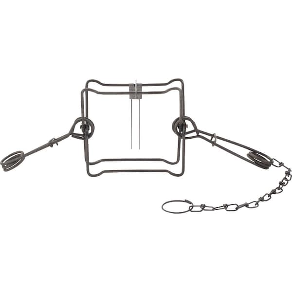 Duke Traps 7 In. Jaw Spread Steel Body Gripping Fisher, Groundhog, & Raccoon Trap - 0420