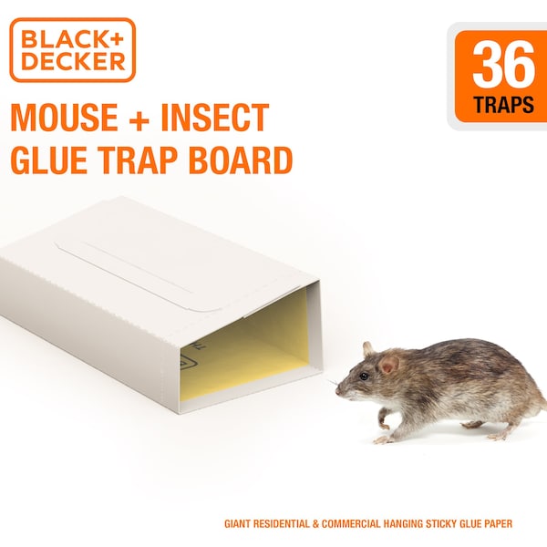 Black & Decker PreBaited Glue Traps for Mice, Spiders, Cockroaches and Other Insects, 36 Pack - BDXPC813