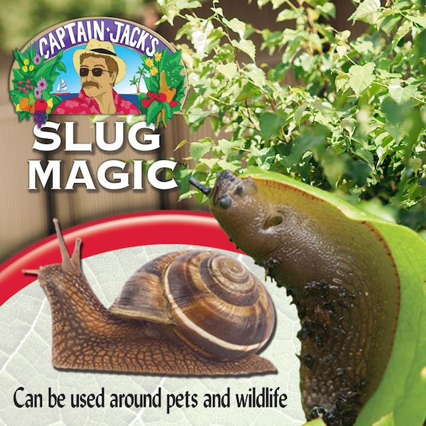 Bonide Products Bonide Slug Magic Organic Insect Killer Pellets 1.5 lb - 904