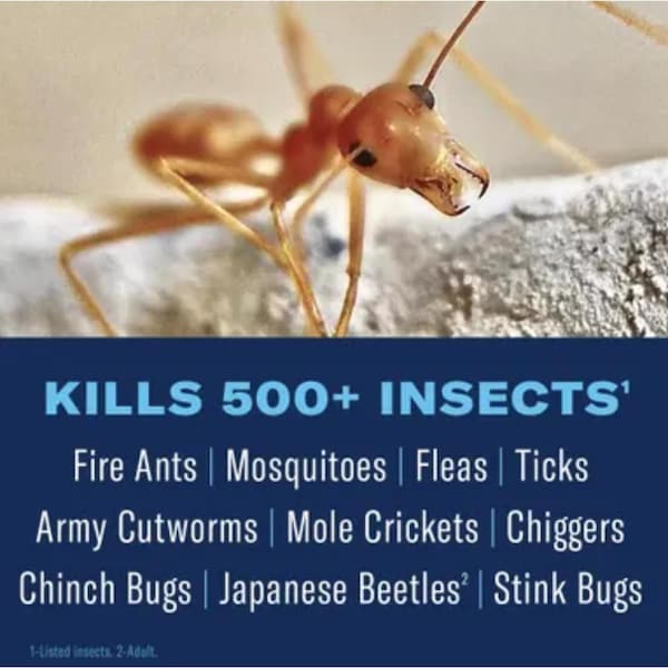Bioadvanced BioAdvanced 24 Hour Ready-to-Spray Lawn Insect and Fire Ant Killer Spray 32 oz - 700790A