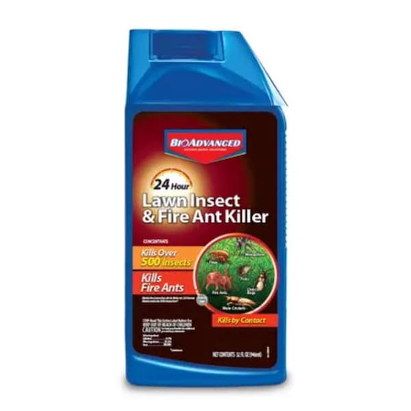 Bioadvanced BioAdvanced 24 Hour Ready-to-Spray Lawn Insect and Fire Ant Killer Spray 32 oz - 700790A