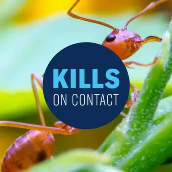 Bioadvanced BioAdvanced 24 Hour Ready-to-Spray Lawn Insect and Fire Ant Killer Spray 32 oz - 700790A