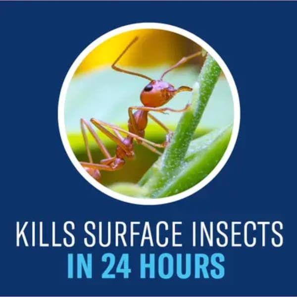 Bioadvanced BioAdvanced Complete Brand Insect Killer for Soil & Turf Granules 10 lb - 700294H