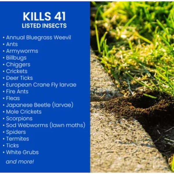 Bioadvanced BioAdvanced Complete Brand Insect Killer for Soil & Turf Granules 10 lb - 700294H