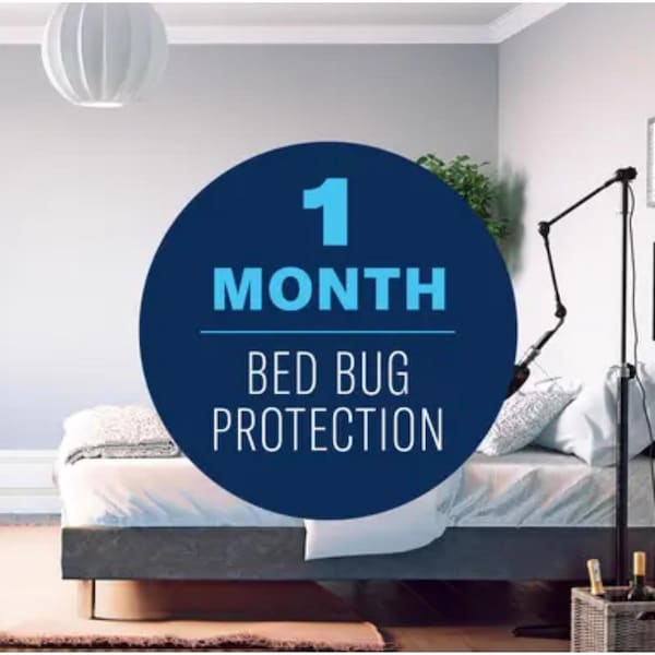 Bayer BioAdvanced Home Pest Insect Killer Continuous Spray 15.7 oz - 701310A