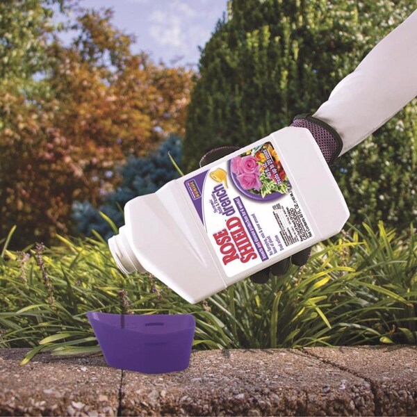 Bonide Products Bonide Rose Shield Systemic Insecticide and Disease Drench Liquid 40 oz - 947