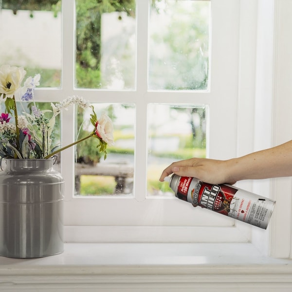 Spectracide Spectracide Ant Shield Ant Killer Aerosol 15 oz - HG-51200-6