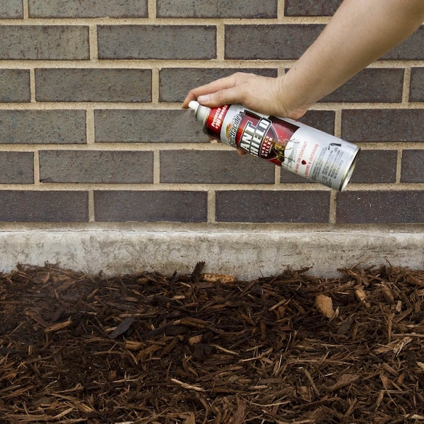 Spectracide Spectracide Ant Shield Ant Killer Aerosol 15 oz - HG-51200-6