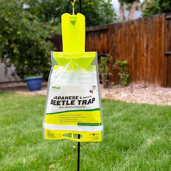 Rescue RESCUE Japanese Beetle Trap 0.21 oz - JBTZ-DB12