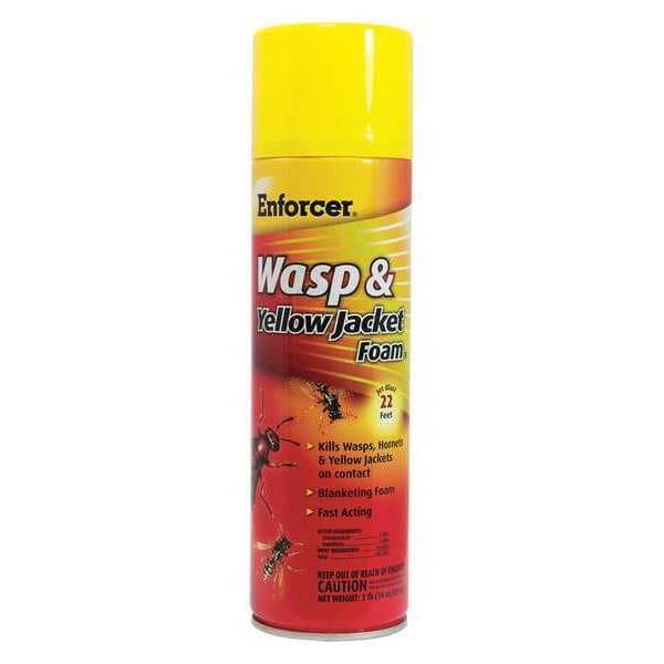 Enforcer 16 oz. Aerosol Outdoor Only Insect Killer, PK12 - FWH16
