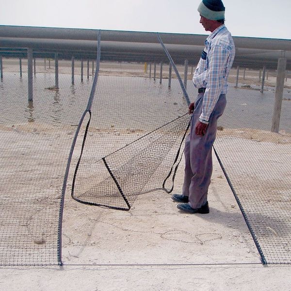 Bird Barrier Bird Repellent Net, StealthNet, 25x50 ft. - N1-B1100