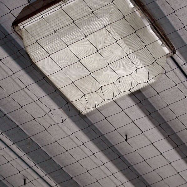 Bird Barrier Bird Repellent Net, StealthNet, 25x50 ft. - N1-B1100