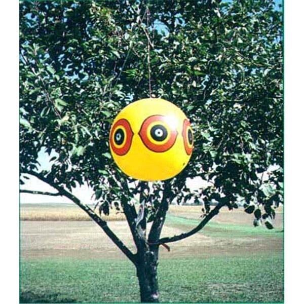 Bird-X Bird-X SE-PACK Scare-Eye Balloon Frighten Birds Away - 3 Pack - SE-PACK