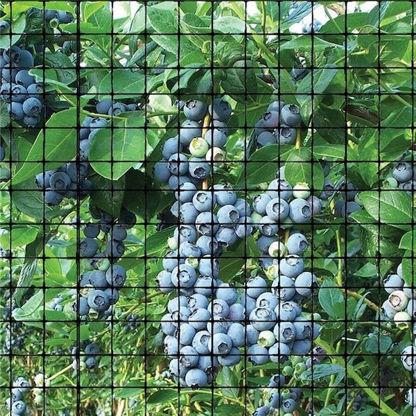 Bird-B-Gone Bird B Gone UN-341 Garden Bird Netting 0.75 in. Mesh - Black - 14 ft. x 100 ft. - UN-341
