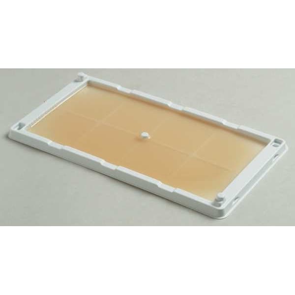 Catchmaster Heavy Duty Rat, Mouse & Snake Glue Trap, 5-1/4 in W x 1/4 in H, Non-Toxic, PK 2 - 404SD
