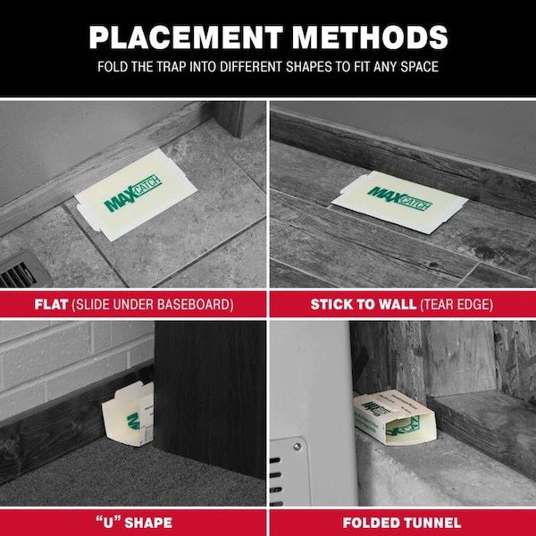 Catchmaster Max-Catch Glue Board For Spiders, Mice, and Crawling Insects, 5.25 in W x 8.5 in H, 72 PK - 72MAX