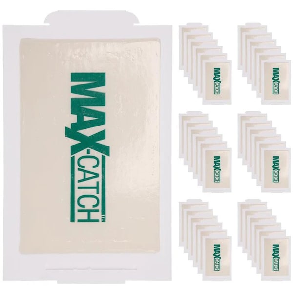 Catchmaster Max-Catch Glue Board For Spiders, Mice, and Crawling Insects, 5.25 in W x 8.5 in H, 72 PK - 72MAX