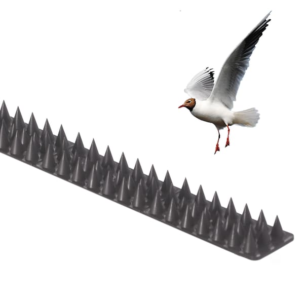 Gardenised Pack of 10 Plastic Bird Deterrent Spikes, Anti-Climb Strips, Grey - QI004402.GN