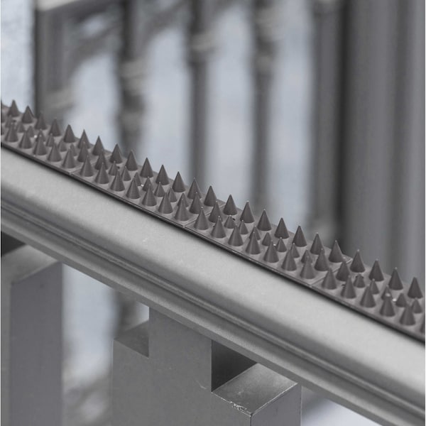 Gardenised Pack of 10 Plastic Bird Deterrent Spikes, Anti-Climb Strips, Grey - QI004402.GN