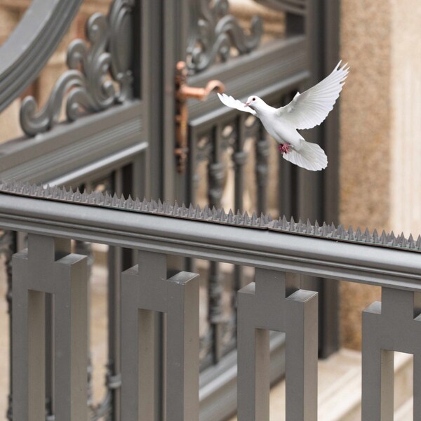 Gardenised Pack of 10 Plastic Bird Deterrent Spikes, Anti-Climb Strips, Grey - QI004402.GN